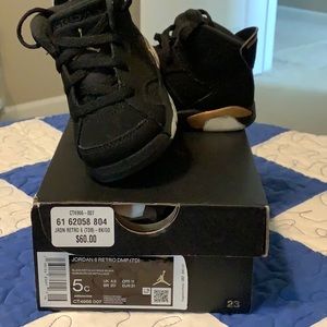 Jordan 6 Retro DMP (TD)
